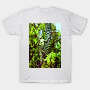 Frilled-necked lizard T-Shirt